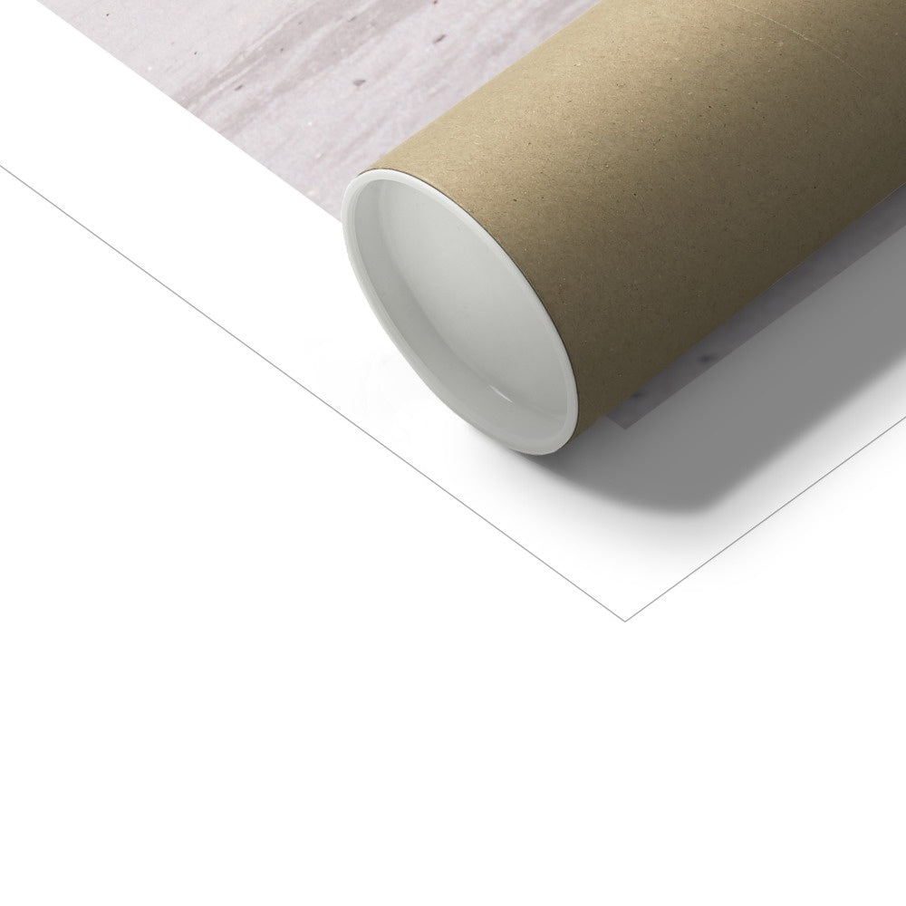 Hoddevika Fine Art Print, a cow standing on Hoddevika beach, Western Norway, stadt, picture of the packaging tube