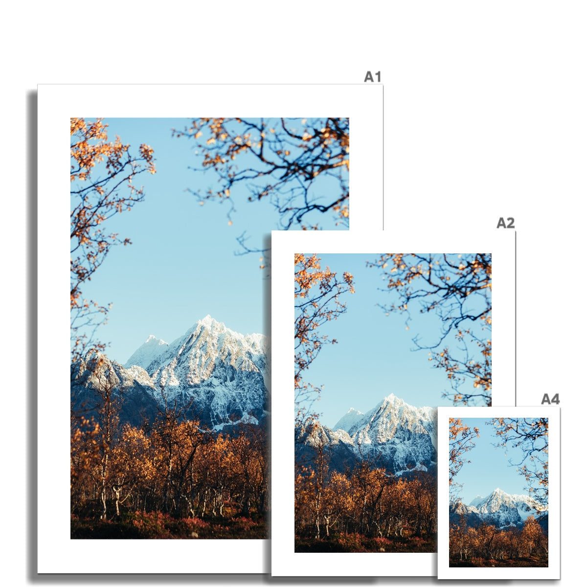 Store Jaegervasstinden Fine Art Print, snowy mountain and orange colored leafs, fall in Lyngen, Tromso, Northern Norway, picture of the different print sizes compared
