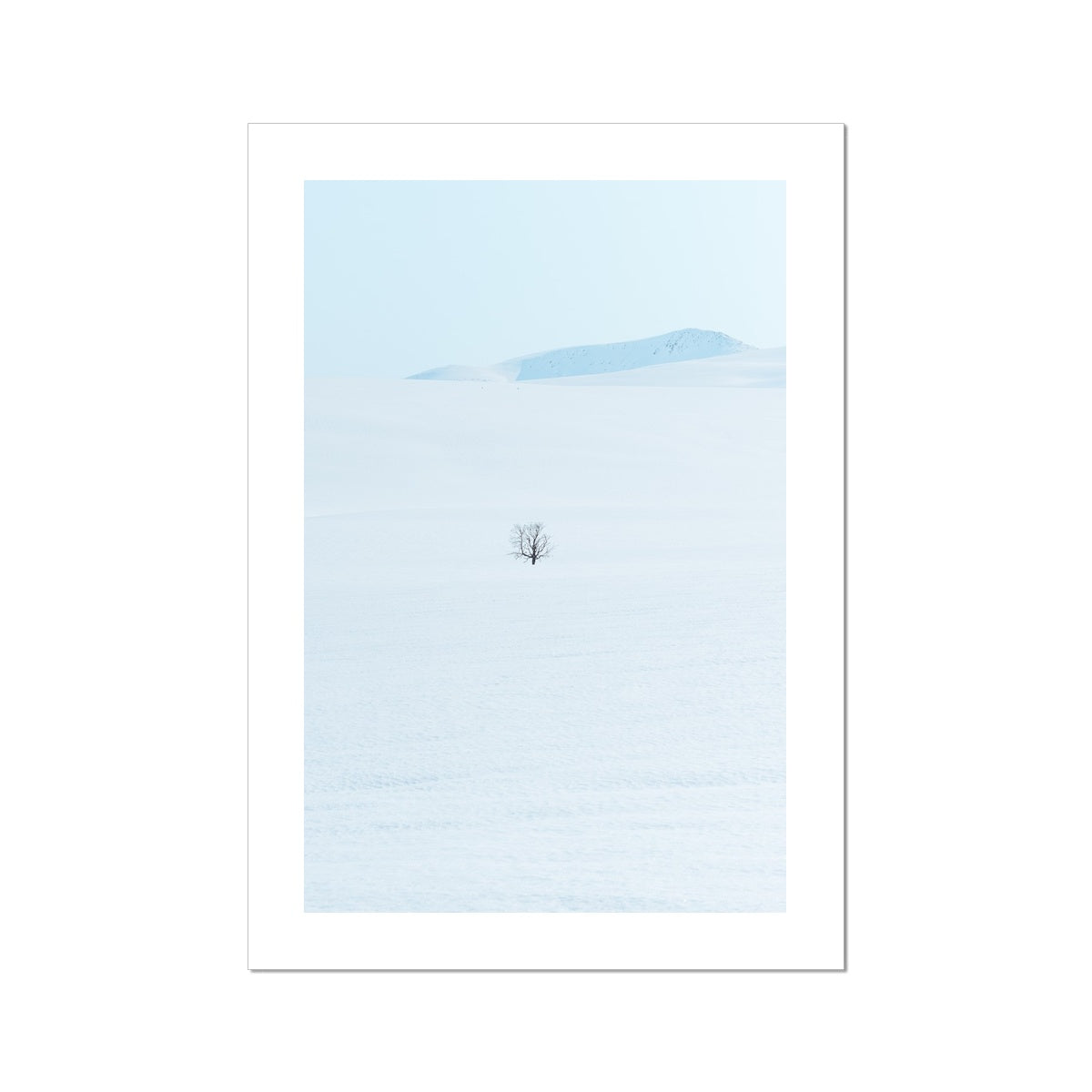 Lonely Tree Fine Art Print, a lonely tree on the mountain, Tromso, Northern Norway, picture of the print