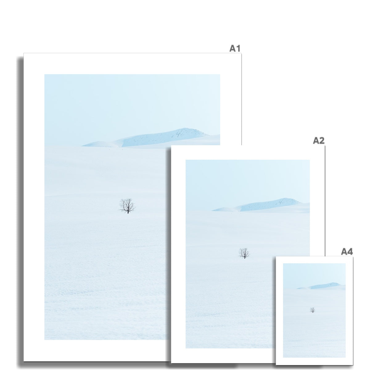Lonely Tree Fine Art Print, a lonely tree on the mountain, Tromso, Northern Norway, picture of the different print sizes compared