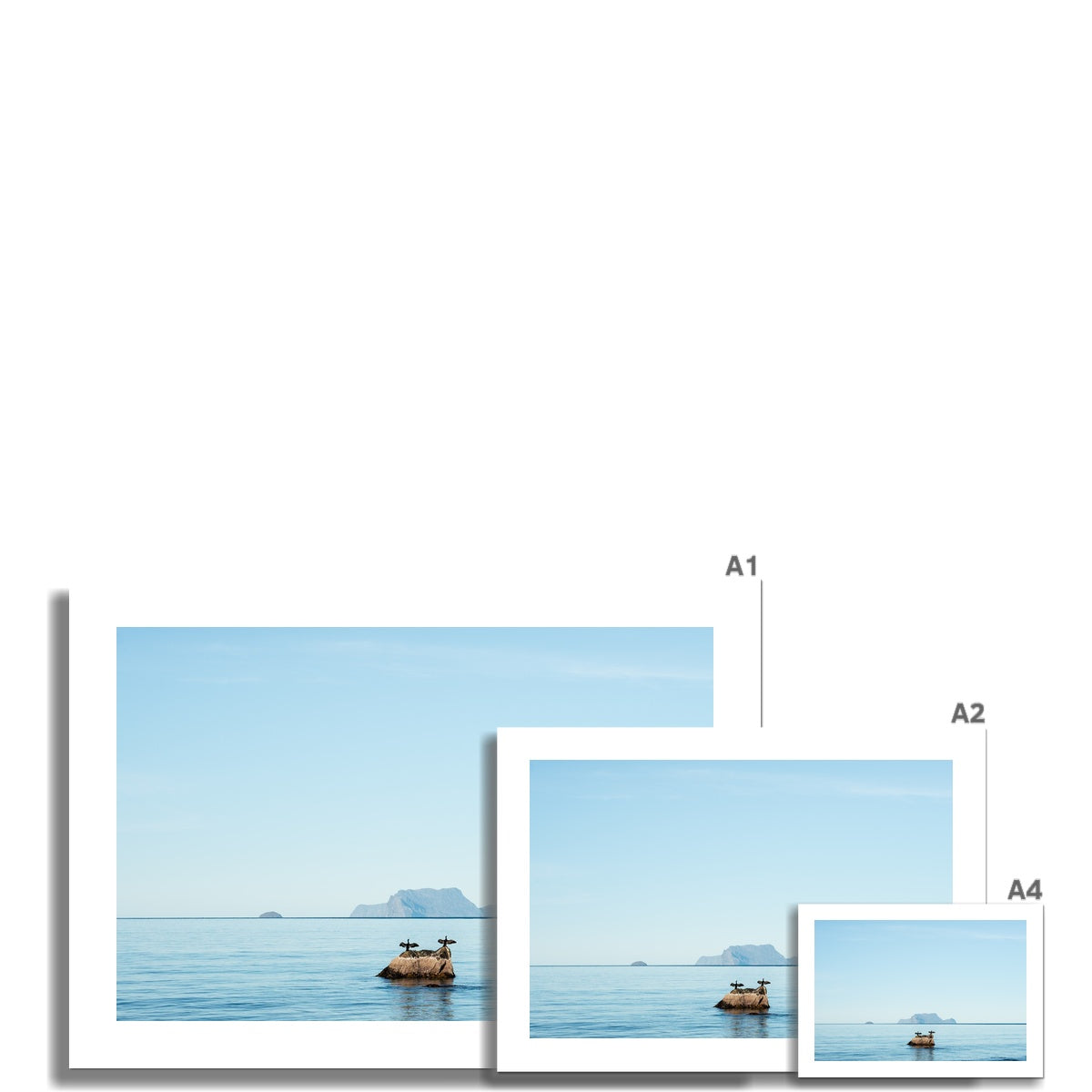Lyngen Morning Fine Art Print, two cormorants in the morning sun, Nordlenangen, Lyngen, Northern Norway, picture of the different print sizes compared