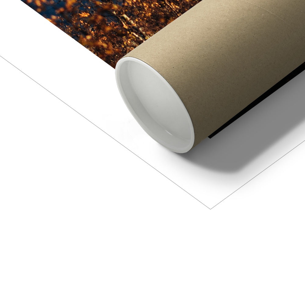 Store Jaegervasstinden Fine Art Print, snowy mountain and orange colored leafs, fall in Lyngen, Tromso, Northern Norway, picture of the packaging tube