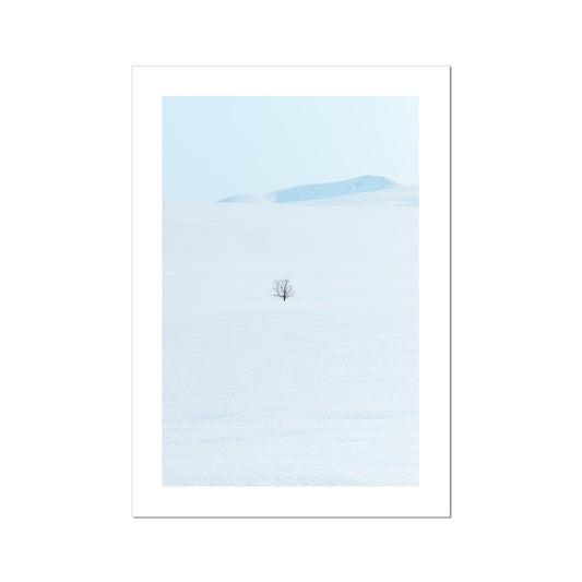 Lonely Tree Fine Art Print, a lonely tree on the mountain, Tromso, Northern Norway, picture of the print 