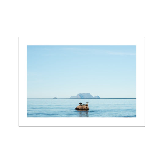 Lyngen Morning Fine Art Print, two cormorants in the morning sun, Nordlenangen, Lyngen, Northern Norway, picture of the print 